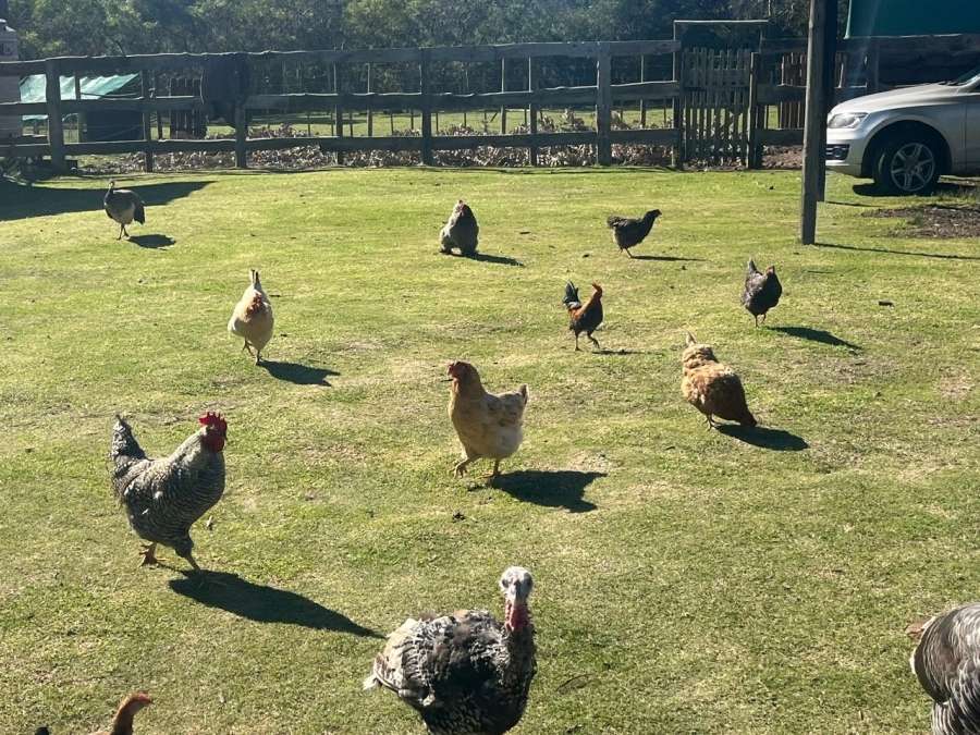 Commercial Property for Sale in Plettenberg Bay Rural Western Cape